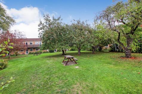 Communal garden 3.jpg