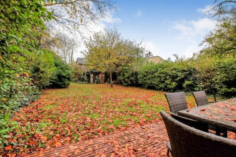 Garden from studio.jpg