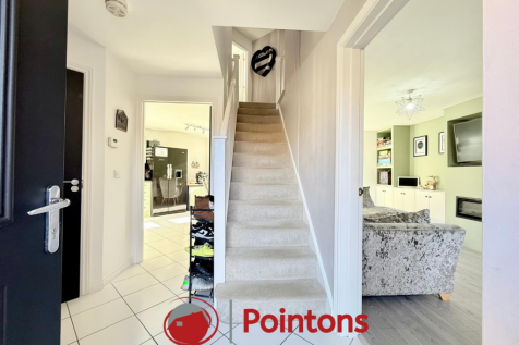 Logo image  (16).png