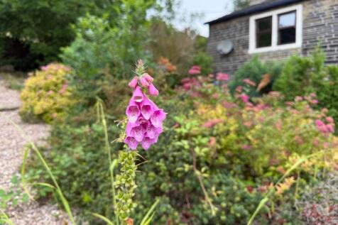 garden 2