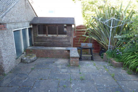 Back Garden