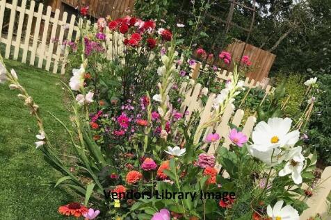 Vendors Library I...