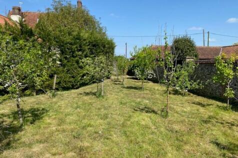 orchard