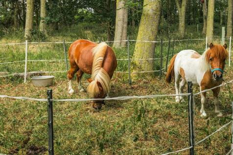 Red House Farm-87