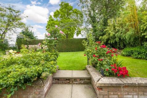 Meadow View-39
