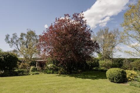 CH26-Cornfield Ha...