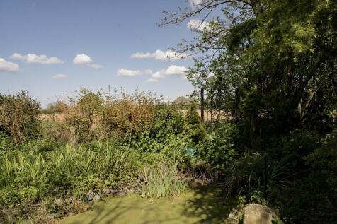 CH23-Cornfield Ha...