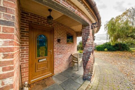 TWWThe Windmill -...