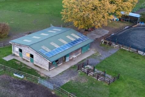 TWWThe Windmill -...