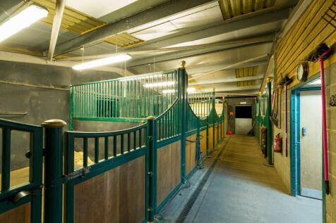 TWWThe Windmill -...