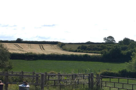 Field Views
