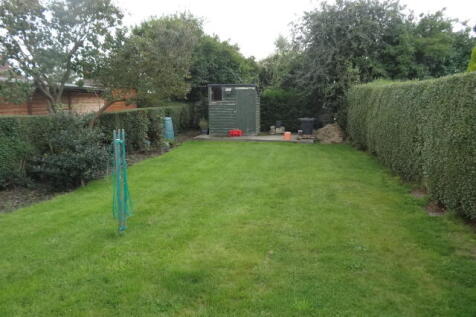 Garden.JPG