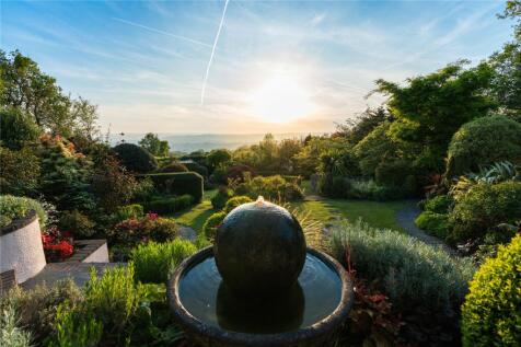 Garden View Shot