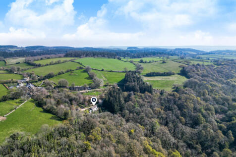Drone Image/Fields