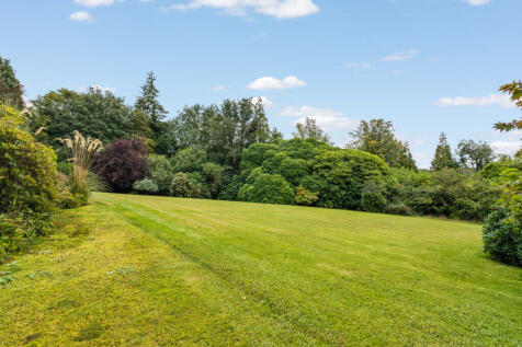 Property Image 41