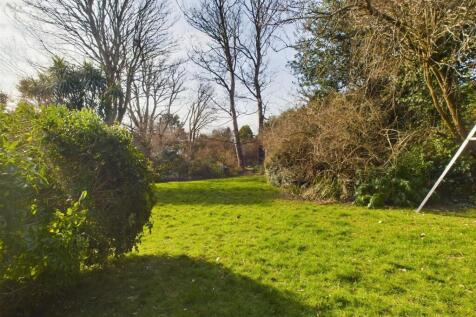 Garden .jpg