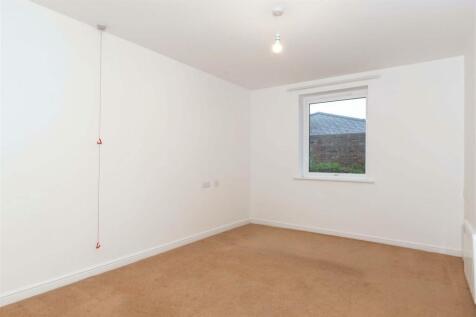 11 Amelia crt_3.jpg