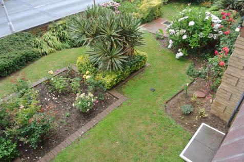Garden 1.jpg