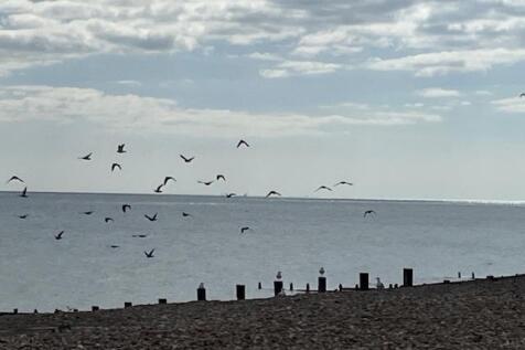 Claydon-Seaview.jpg