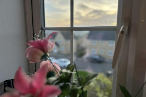 IMG_4745.JPEG