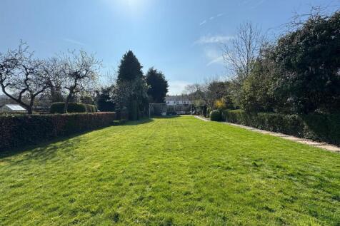 garden 5.jpg