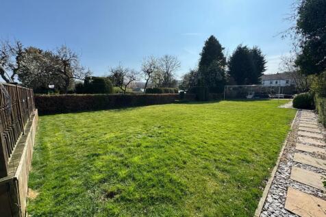 garden 6.jpg