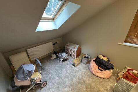 IMG_3090.JPEG