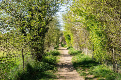 Surrounding Woodlands