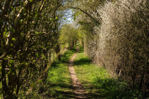 Surrounding Woodlands
