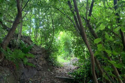 Property Image 31