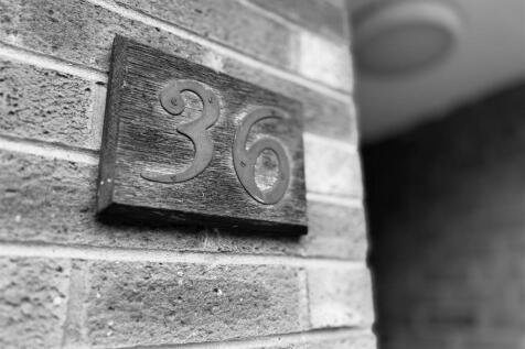 IMG_0020.jpeg