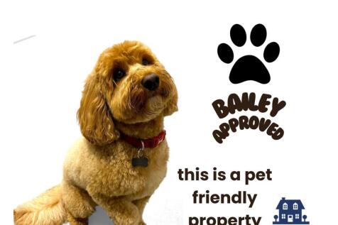 Bailey approved square.jpg