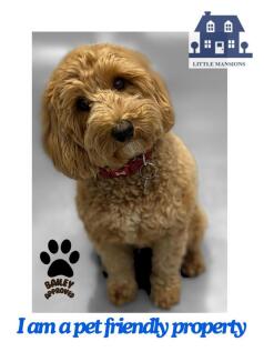 I am a pet friendly property.jpg