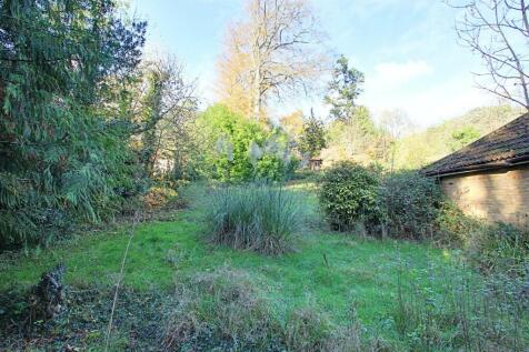 Front Garden.jpg