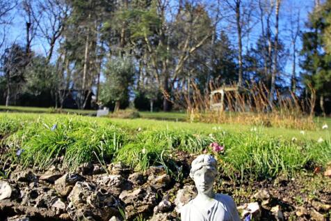 Garden 1.jpg