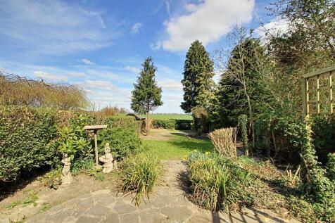Garden 2.jpg