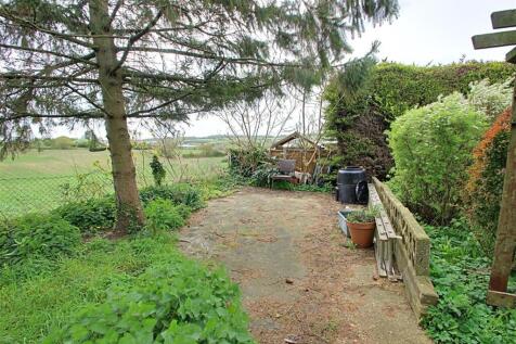 Garden 4.jpg