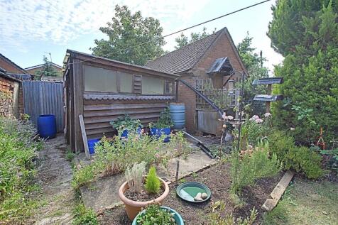 Garden 2.jpg