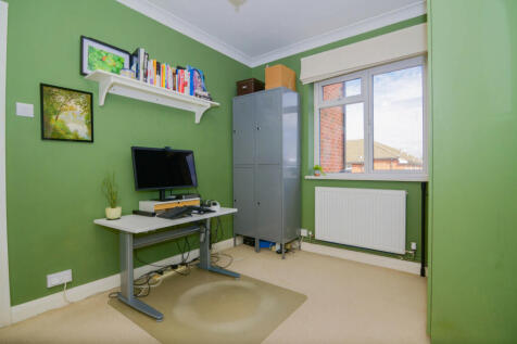 Study Area