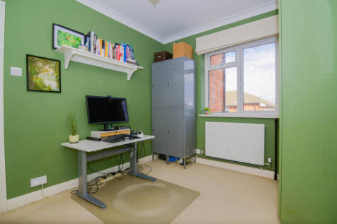 Study Area