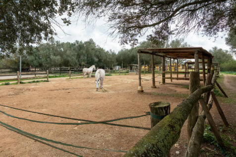 Algaida-20.jpg