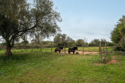 Algaida-26.jpg