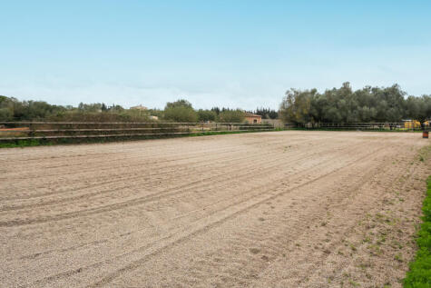 Algaida-27.jpg