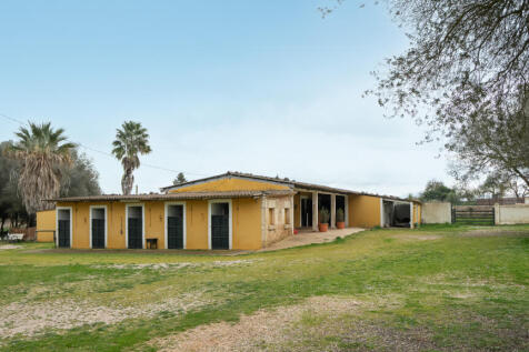 Algaida-21.jpg