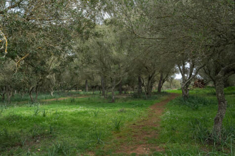 Algaida-31.jpg