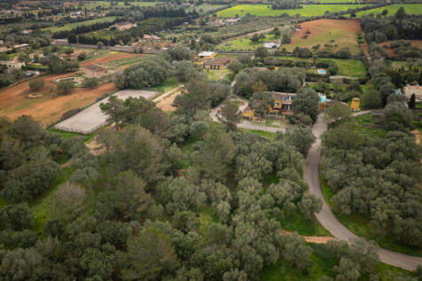Algaida-32.jpg