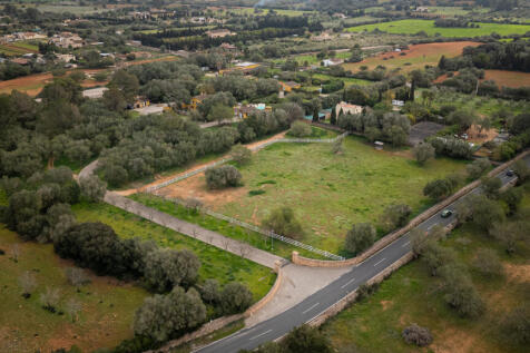 Algaida-33.jpg
