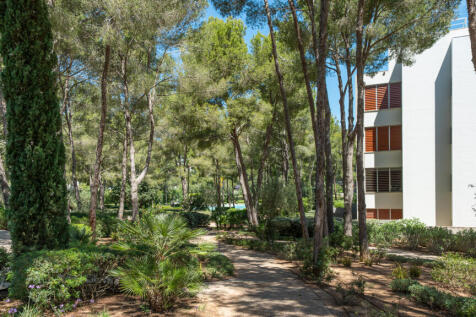 Pinos-20.jpg