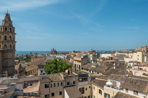 Palma-16.jpg