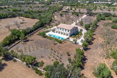 DJI_0595 copia 2.jpg